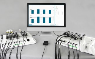 elit egestas velit integer quis nullam dignissim